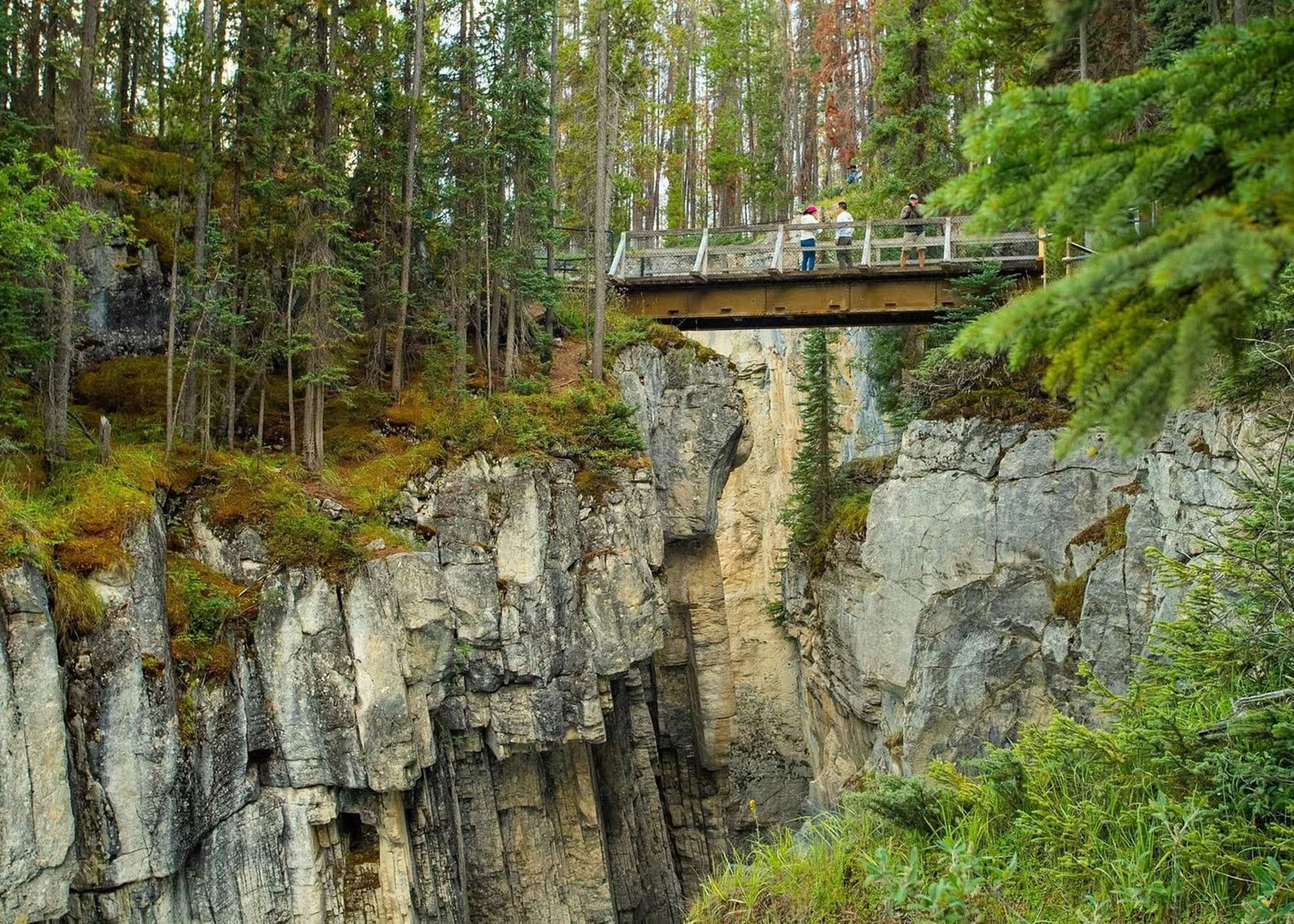From Calgary: Day Trip to Jasper With Lunch